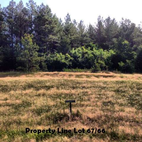 Property Line 67-66